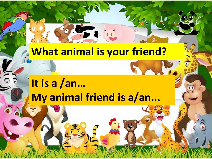 What animal is your friend? It is a /an… My animal friend is a/an.