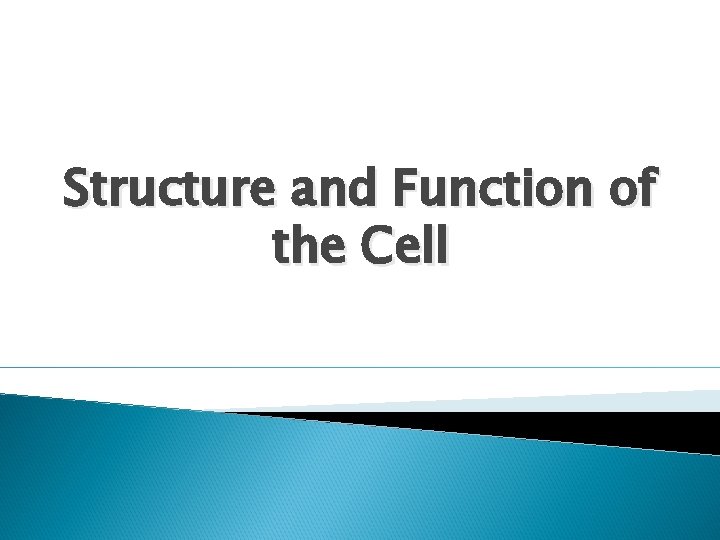 Structure and Function of the Cell 