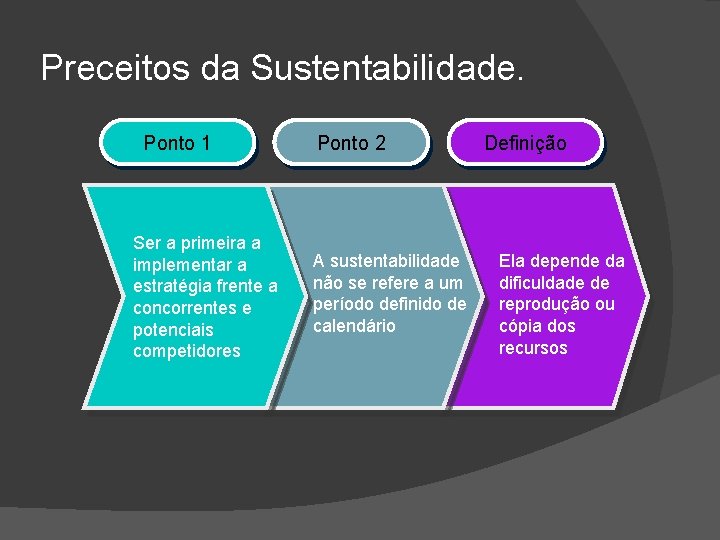 Preceitos da Sustentabilidade. Ponto 1 Ser a primeira a implementar a estratégia frente a