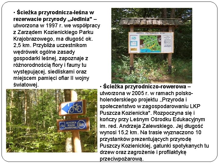  • Ścieżka przyrodnicza-leśna w rezerwacie przyrody , , Jedlnia" – utworzona w 1997