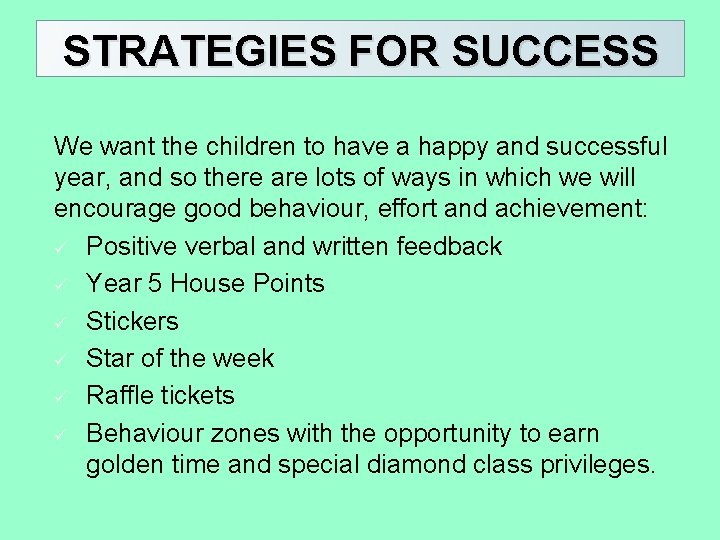 STRATEGIES FOR SUCCESS We want the children to have a happy and successful year,