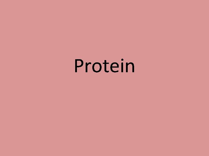 Protein 