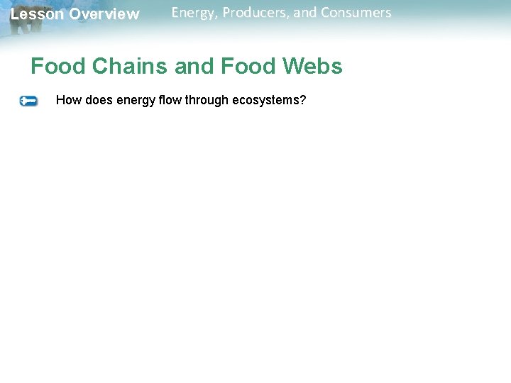Lesson Overview Energy, Producers, and Consumers Food Chains and Food Webs How does energy Lesson Overview Energy, Producers, and Consumers Food Chains and Food Webs How does energy