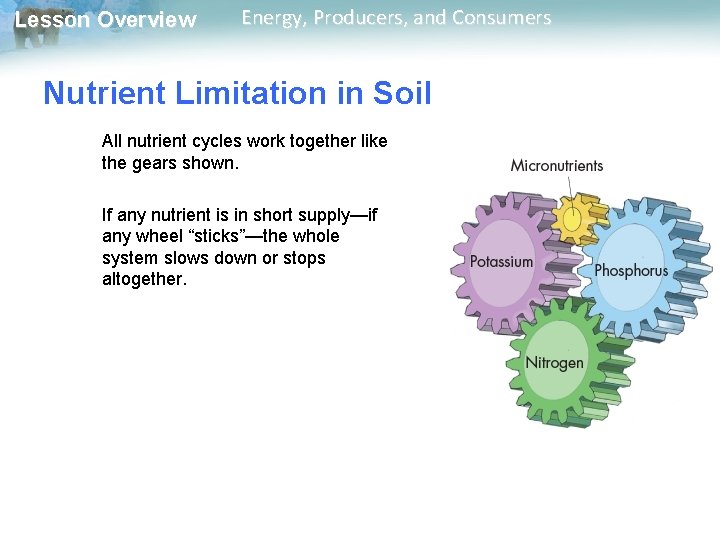 Lesson Overview Energy, Producers, and Consumers Nutrient Limitation in Soil All nutrient cycles work Lesson Overview Energy, Producers, and Consumers Nutrient Limitation in Soil All nutrient cycles work