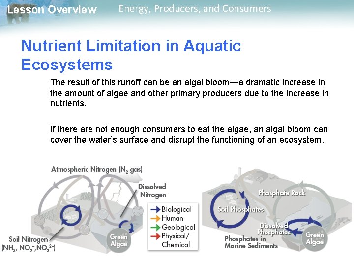 Lesson Overview Energy, Producers, and Consumers Nutrient Limitation in Aquatic Ecosystems The result of Lesson Overview Energy, Producers, and Consumers Nutrient Limitation in Aquatic Ecosystems The result of