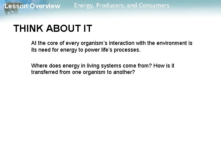 Lesson Overview Energy, Producers, and Consumers THINK ABOUT IT At the core of every Lesson Overview Energy, Producers, and Consumers THINK ABOUT IT At the core of every