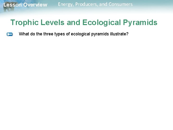 Lesson Overview Energy, Producers, and Consumers Trophic Levels and Ecological Pyramids What do the Lesson Overview Energy, Producers, and Consumers Trophic Levels and Ecological Pyramids What do the