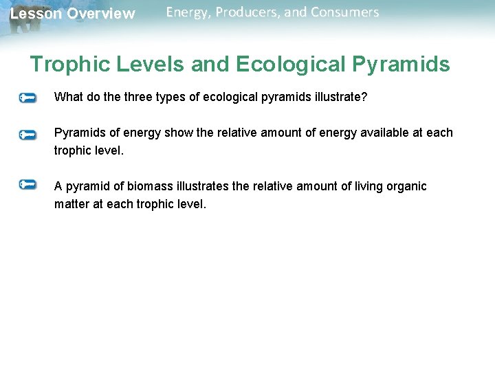 Lesson Overview Energy, Producers, and Consumers Trophic Levels and Ecological Pyramids What do the Lesson Overview Energy, Producers, and Consumers Trophic Levels and Ecological Pyramids What do the
