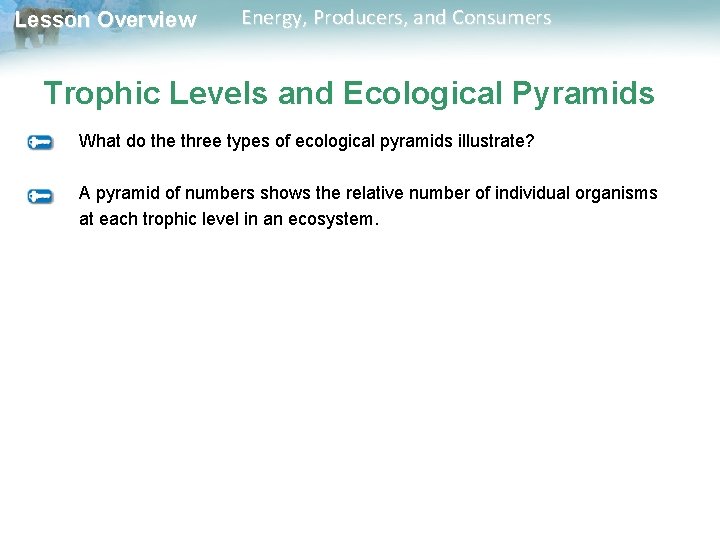 Lesson Overview Energy, Producers, and Consumers Trophic Levels and Ecological Pyramids What do the Lesson Overview Energy, Producers, and Consumers Trophic Levels and Ecological Pyramids What do the