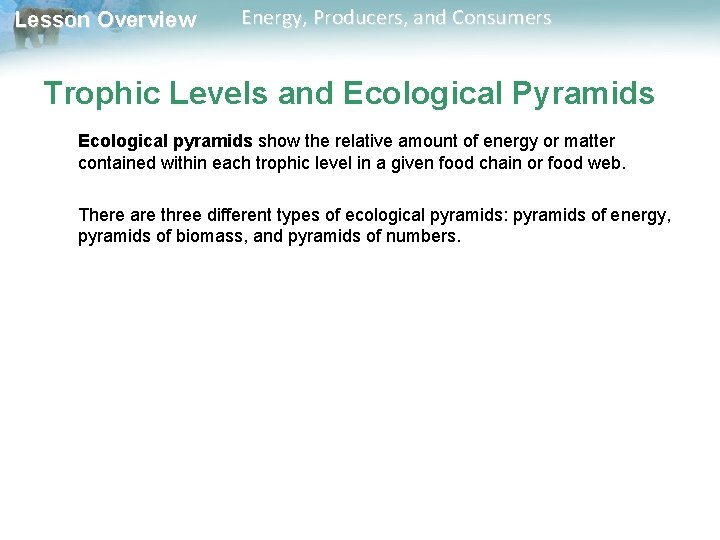 Lesson Overview Energy, Producers, and Consumers Trophic Levels and Ecological Pyramids Ecological pyramids show Lesson Overview Energy, Producers, and Consumers Trophic Levels and Ecological Pyramids Ecological pyramids show