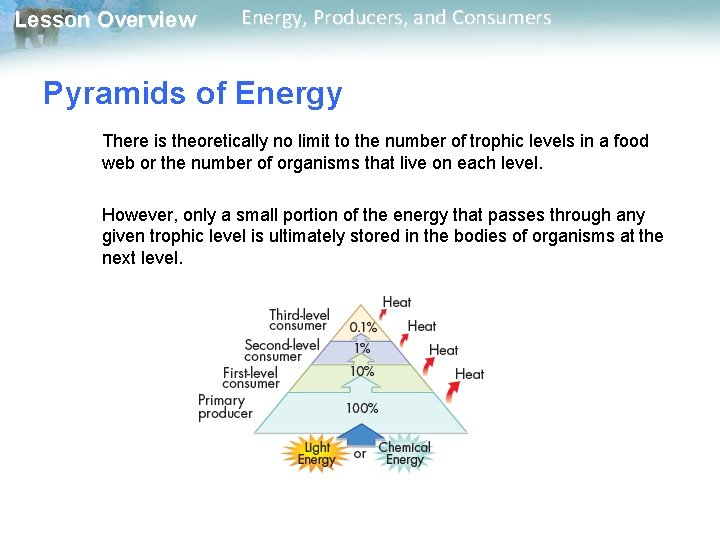 Lesson Overview Energy, Producers, and Consumers Pyramids of Energy There is theoretically no limit Lesson Overview Energy, Producers, and Consumers Pyramids of Energy There is theoretically no limit