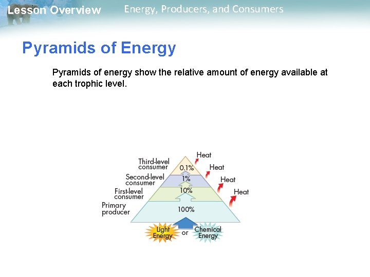 Lesson Overview Energy, Producers, and Consumers Pyramids of Energy Pyramids of energy show the Lesson Overview Energy, Producers, and Consumers Pyramids of Energy Pyramids of energy show the
