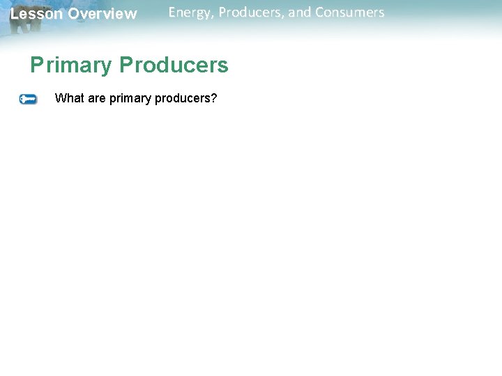 Lesson Overview Energy, Producers, and Consumers Primary Producers What are primary producers? Lesson Overview Energy, Producers, and Consumers Primary Producers What are primary producers?
