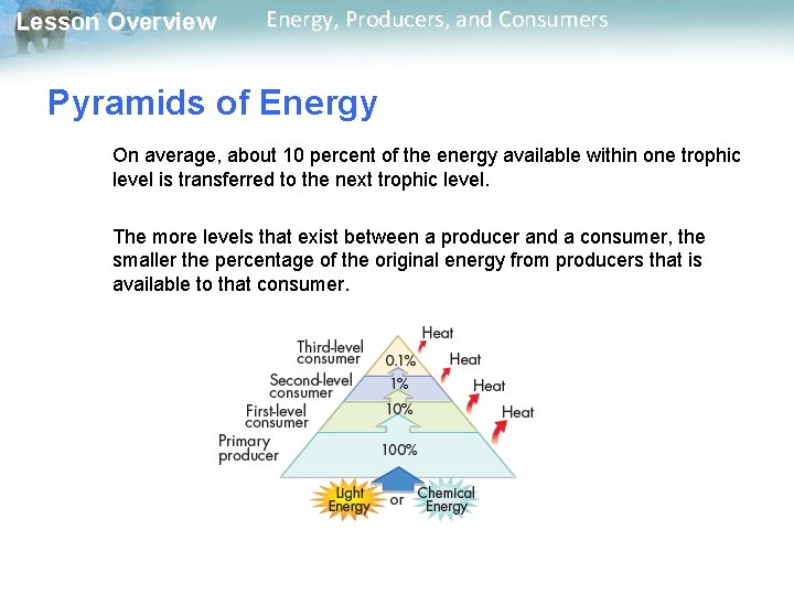 Lesson Overview Energy, Producers, and Consumers Pyramids of Energy On average, about 10 percent Lesson Overview Energy, Producers, and Consumers Pyramids of Energy On average, about 10 percent