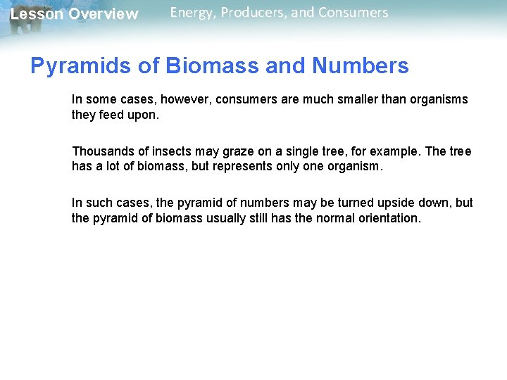 Lesson Overview Energy, Producers, and Consumers Pyramids of Biomass and Numbers In some cases, Lesson Overview Energy, Producers, and Consumers Pyramids of Biomass and Numbers In some cases,