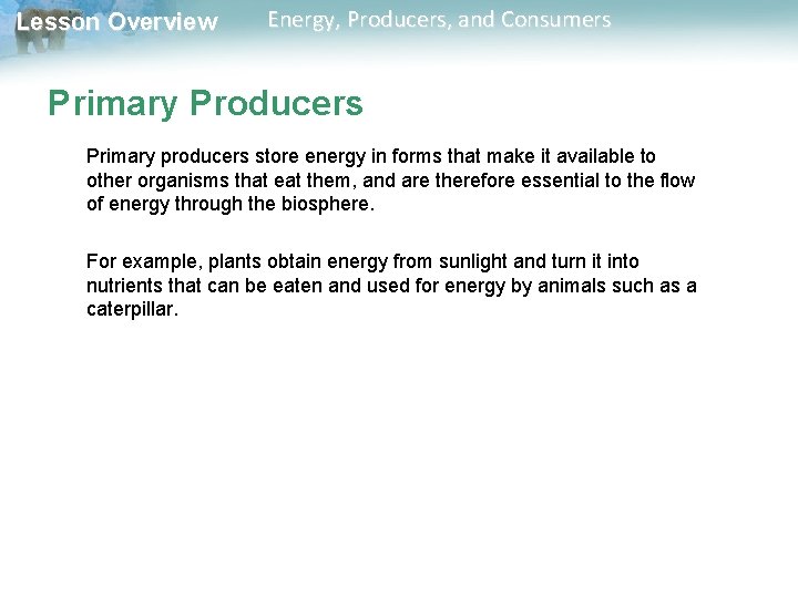 Lesson Overview Energy, Producers, and Consumers Primary Producers Primary producers store energy in forms Lesson Overview Energy, Producers, and Consumers Primary Producers Primary producers store energy in forms