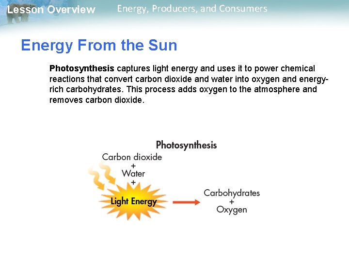 Lesson Overview Energy, Producers, and Consumers Energy From the Sun Photosynthesis captures light energy Lesson Overview Energy, Producers, and Consumers Energy From the Sun Photosynthesis captures light energy