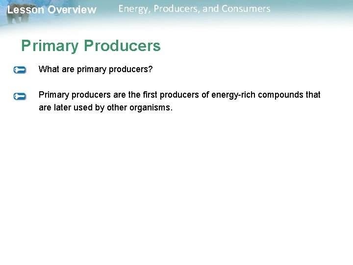 Lesson Overview Energy, Producers, and Consumers Primary Producers What are primary producers? Primary producers Lesson Overview Energy, Producers, and Consumers Primary Producers What are primary producers? Primary producers