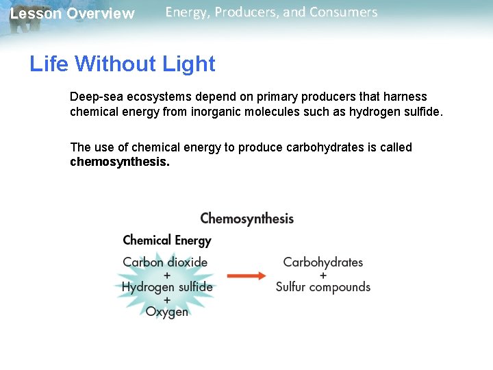 Lesson Overview Energy, Producers, and Consumers Life Without Light Deep-sea ecosystems depend on primary Lesson Overview Energy, Producers, and Consumers Life Without Light Deep-sea ecosystems depend on primary