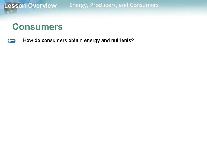 Lesson Overview Energy, Producers, and Consumers How do consumers obtain energy and nutrients? Lesson Overview Energy, Producers, and Consumers How do consumers obtain energy and nutrients?