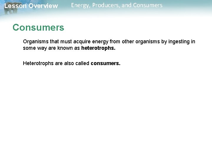 Lesson Overview Energy, Producers, and Consumers Organisms that must acquire energy from other organisms Lesson Overview Energy, Producers, and Consumers Organisms that must acquire energy from other organisms