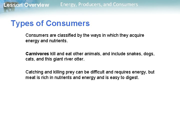 Lesson Overview Energy, Producers, and Consumers Types of Consumers are classified by the ways Lesson Overview Energy, Producers, and Consumers Types of Consumers are classified by the ways