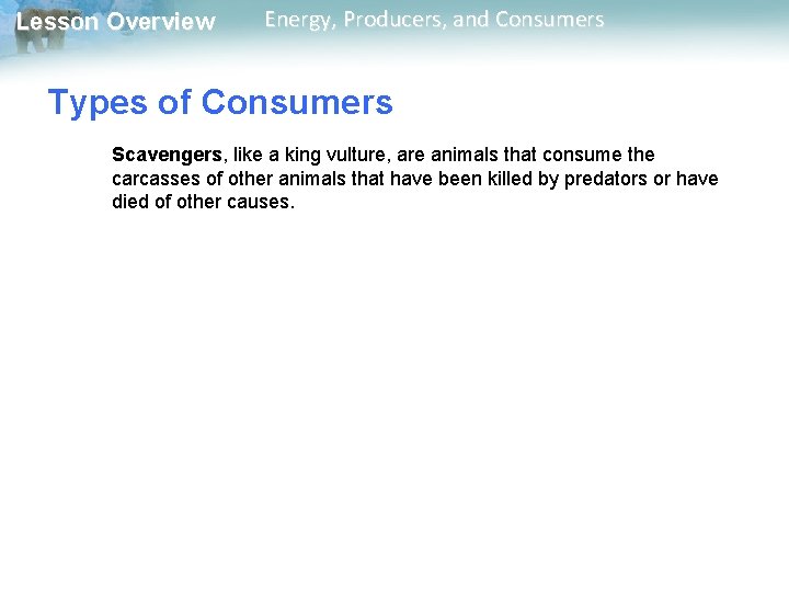Lesson Overview Energy, Producers, and Consumers Types of Consumers Scavengers, like a king vulture, Lesson Overview Energy, Producers, and Consumers Types of Consumers Scavengers, like a king vulture,