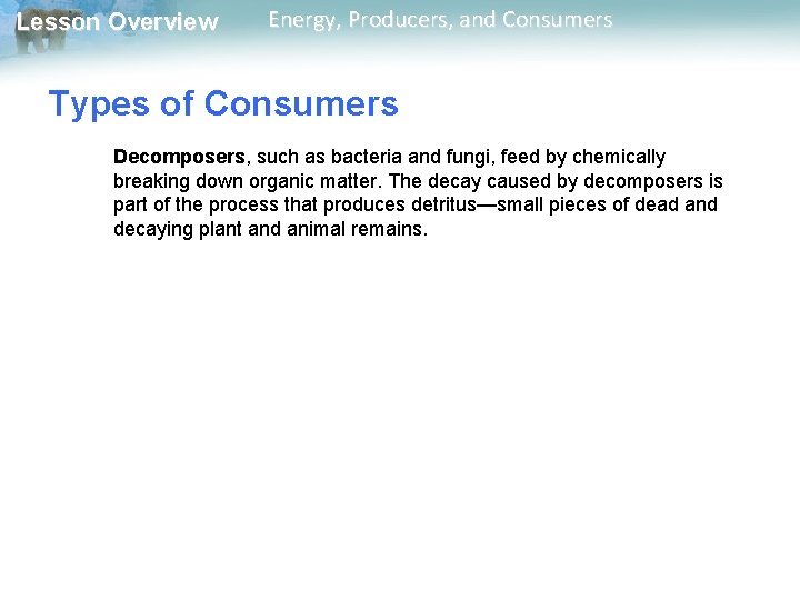 Lesson Overview Energy, Producers, and Consumers Types of Consumers Decomposers, such as bacteria and Lesson Overview Energy, Producers, and Consumers Types of Consumers Decomposers, such as bacteria and