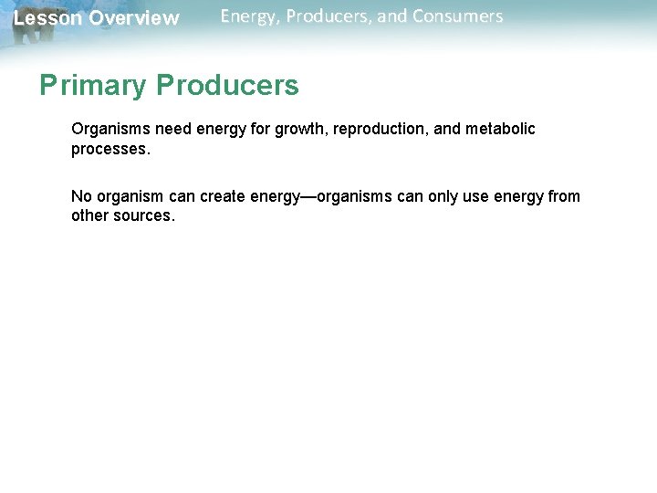 Lesson Overview Energy, Producers, and Consumers Primary Producers Organisms need energy for growth, reproduction, Lesson Overview Energy, Producers, and Consumers Primary Producers Organisms need energy for growth, reproduction,