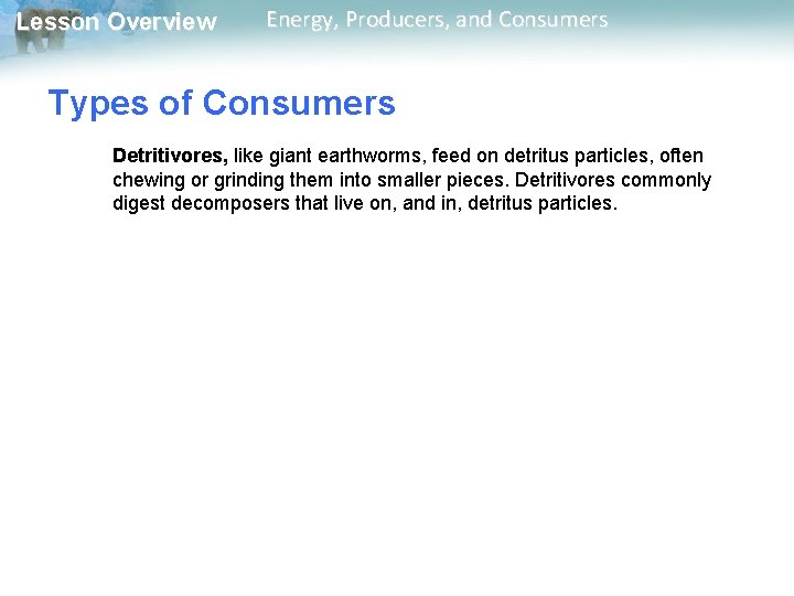 Lesson Overview Energy, Producers, and Consumers Types of Consumers Detritivores, like giant earthworms, feed Lesson Overview Energy, Producers, and Consumers Types of Consumers Detritivores, like giant earthworms, feed