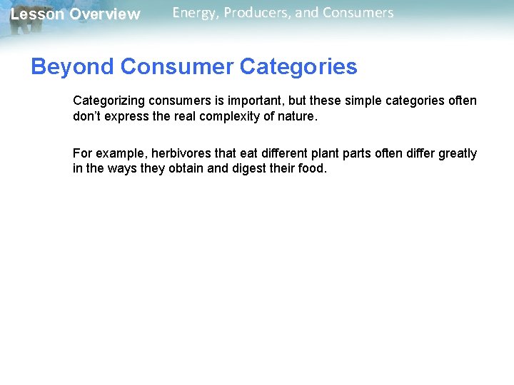 Lesson Overview Energy, Producers, and Consumers Beyond Consumer Categories Categorizing consumers is important, but Lesson Overview Energy, Producers, and Consumers Beyond Consumer Categories Categorizing consumers is important, but