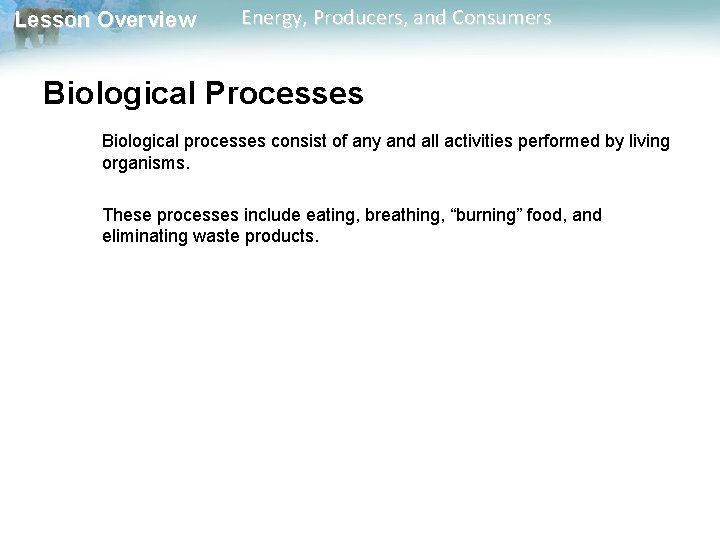 Lesson Overview Energy, Producers, and Consumers Biological Processes Biological processes consist of any and Lesson Overview Energy, Producers, and Consumers Biological Processes Biological processes consist of any and