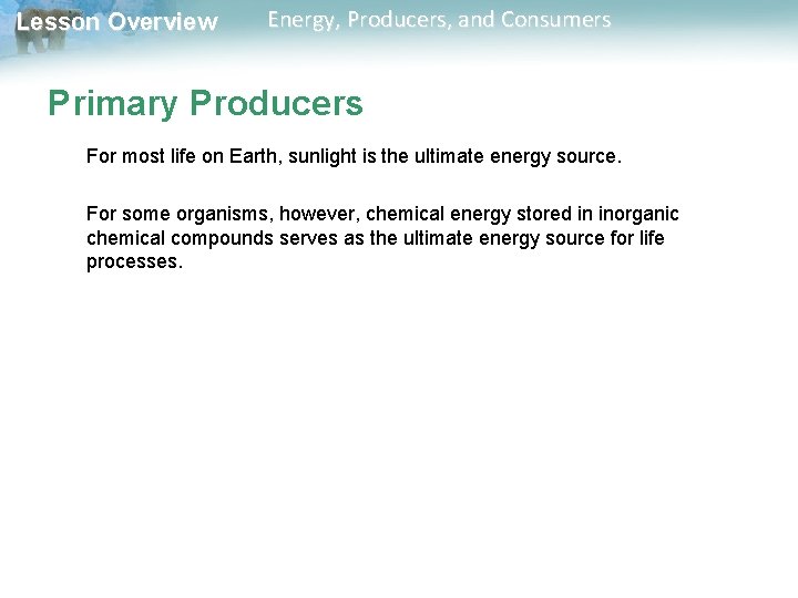 Lesson Overview Energy, Producers, and Consumers Primary Producers For most life on Earth, sunlight Lesson Overview Energy, Producers, and Consumers Primary Producers For most life on Earth, sunlight