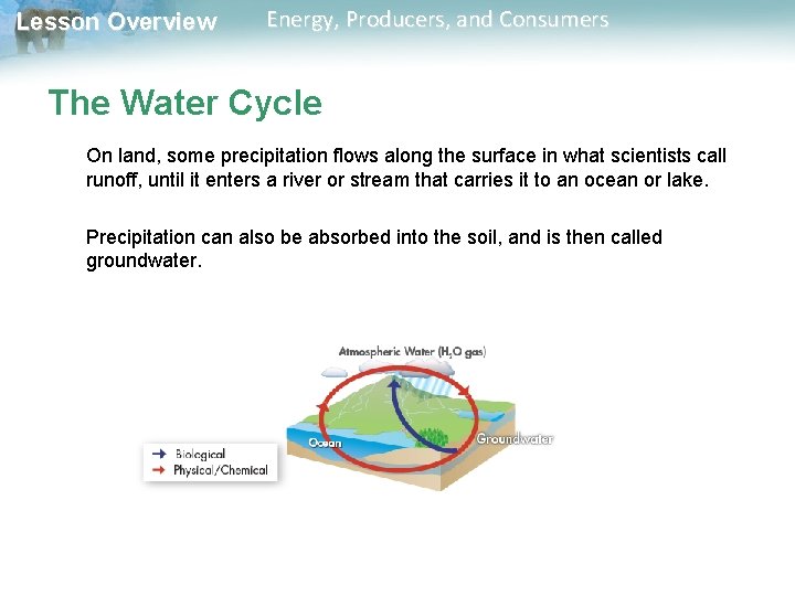 Lesson Overview Energy, Producers, and Consumers The Water Cycle On land, some precipitation flows Lesson Overview Energy, Producers, and Consumers The Water Cycle On land, some precipitation flows