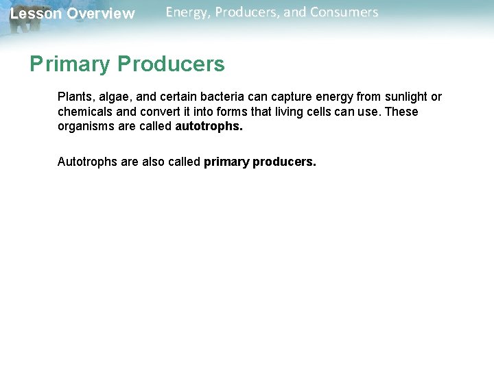 Lesson Overview Energy, Producers, and Consumers Primary Producers Plants, algae, and certain bacteria can Lesson Overview Energy, Producers, and Consumers Primary Producers Plants, algae, and certain bacteria can