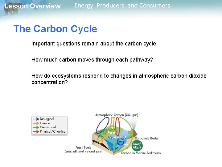 Lesson Overview Energy, Producers, and Consumers The Carbon Cycle Important questions remain about the Lesson Overview Energy, Producers, and Consumers The Carbon Cycle Important questions remain about the