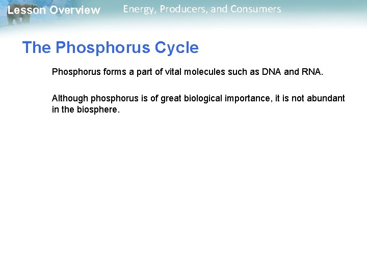 Lesson Overview Energy, Producers, and Consumers The Phosphorus Cycle Phosphorus forms a part of Lesson Overview Energy, Producers, and Consumers The Phosphorus Cycle Phosphorus forms a part of