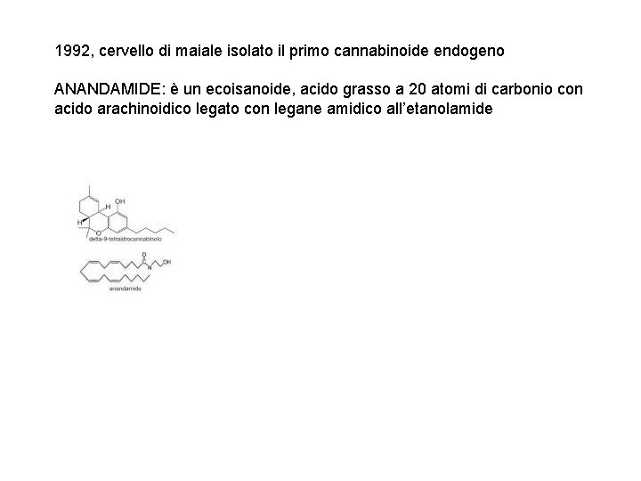1992, cervello di maiale isolato il primo cannabinoide endogeno ANANDAMIDE: è un ecoisanoide, acido