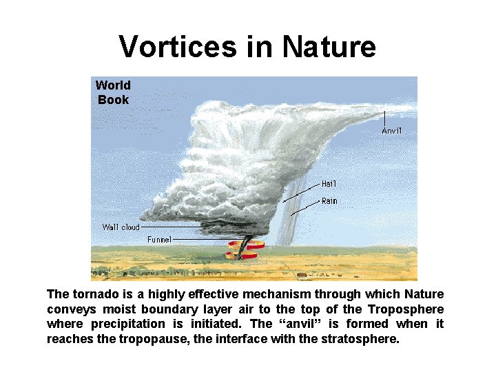 Vortices in Nature World Book The tornado is a highly effective mechanism through which