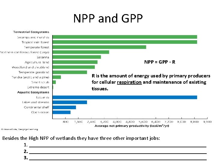 NPP and GPP NPP = GPP - R R is the amount of energy