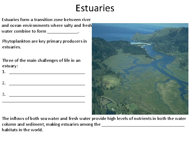 Estuaries form a transition zone between river and ocean environments where salty and fresh