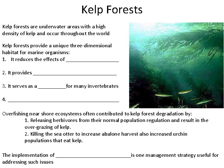 Kelp Forests Kelp forests are underwater areas with a high density of kelp and