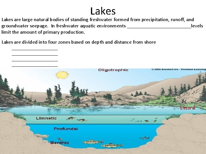 Lakes are large natural bodies of standing freshwater formed from precipitation, runoff, and groundwater