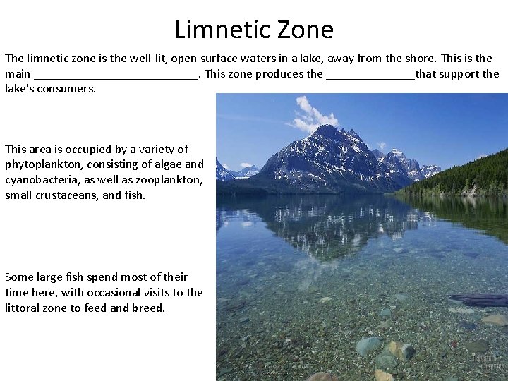 Limnetic Zone The limnetic zone is the well-lit, open surface waters in a lake,
