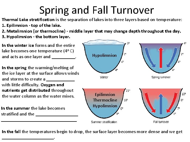 Spring and Fall Turnover Thermal Lake stratification is the separation of lakes into three