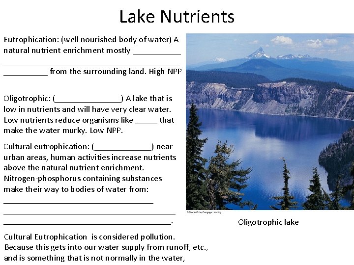 Lake Nutrients Eutrophication: (well nourished body of water) A natural nutrient enrichment mostly __________________________