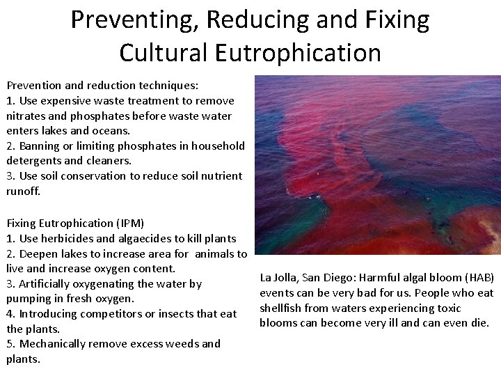 Preventing, Reducing and Fixing Cultural Eutrophication Prevention and reduction techniques: 1. Use expensive waste