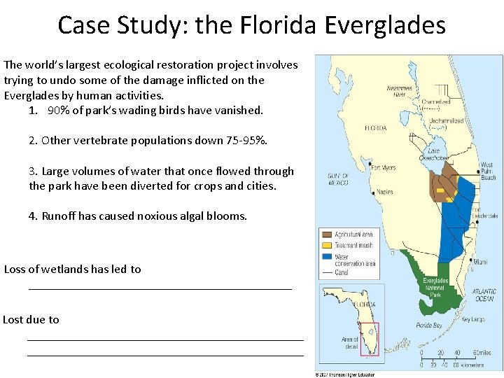 Case Study: the Florida Everglades The world’s largest ecological restoration project involves trying to