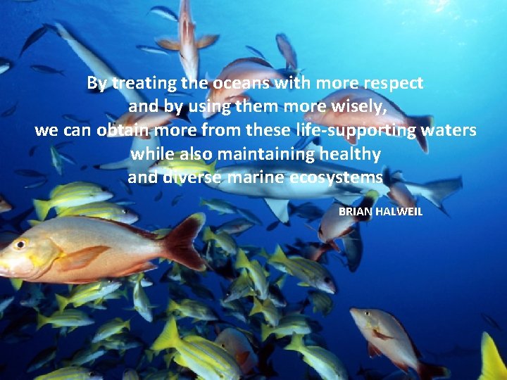 By treating the oceans with more respect and by using them more wisely, we