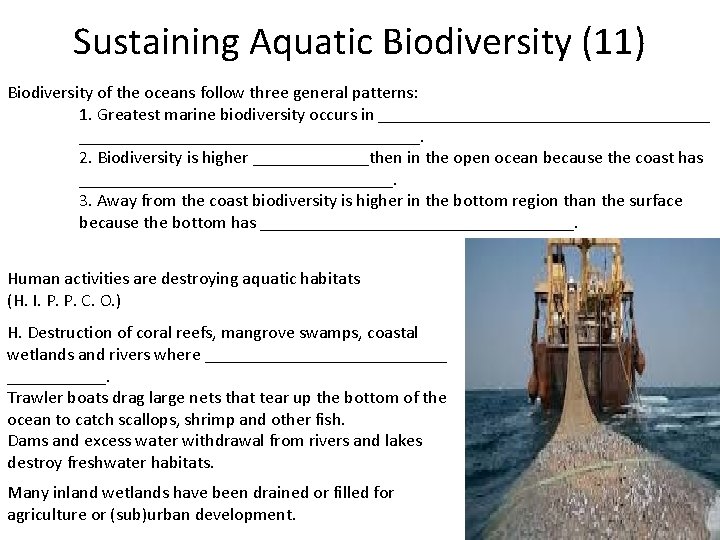 Sustaining Aquatic Biodiversity (11) Biodiversity of the oceans follow three general patterns: 1. Greatest